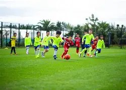 弗拉霍維奇,意甲之巅,我們的夢想,网球直播体育,网球直播体育app,网球直播体育官网,网球直播体育下载,网球直播体育入口