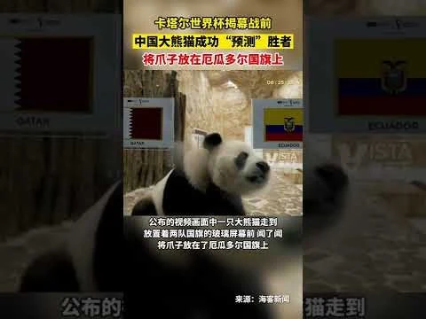 2026年网球四大满贯免费直播观看指南：高清信号源与平台推荐