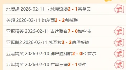 体育界女性英姿：明星坚韧之路与荣耀时刻